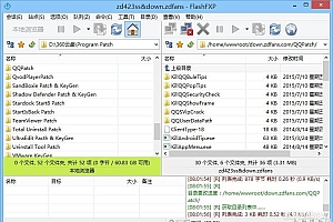 FlashFXP v5.4.0.3954 绿色版+注册机